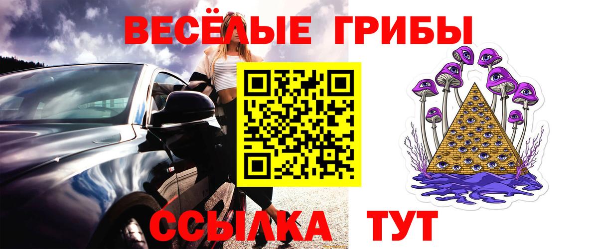 Курчалой  Псилоцибиновые грибы ЛСД  Псилоцибиновые грибы Psilocybine cubensis  Вход с VPN 
