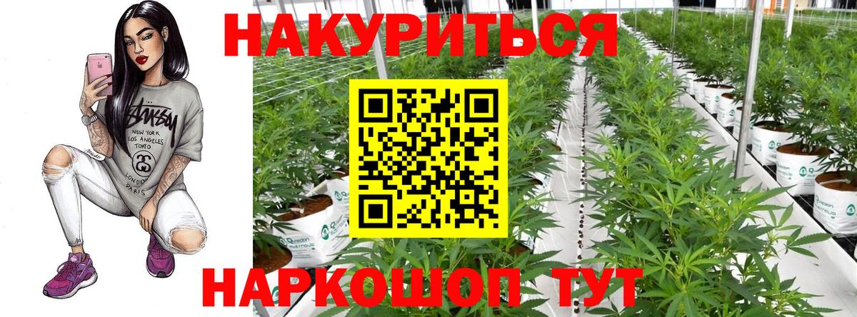 Курчалой  Канабис конопля  МАРИХУАНА MAZAR  МАРИХУАНА индика  Шишки марихуана Bruce Banner  Вход с VPN 